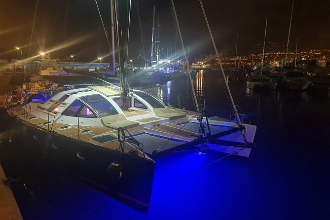 Tenerife Whales and Dolphins Watching Experience in Catamaran - Why this Costa Adeje boat trip feels different