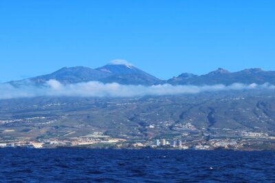 Tenerife Whales and Dolphins Watching Experience in Catamaran