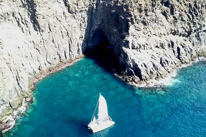 Tenerife Whales and Dolphins Watching Experience in Catamaran - Sandwiches, beer, and an easygoing lunch afloat