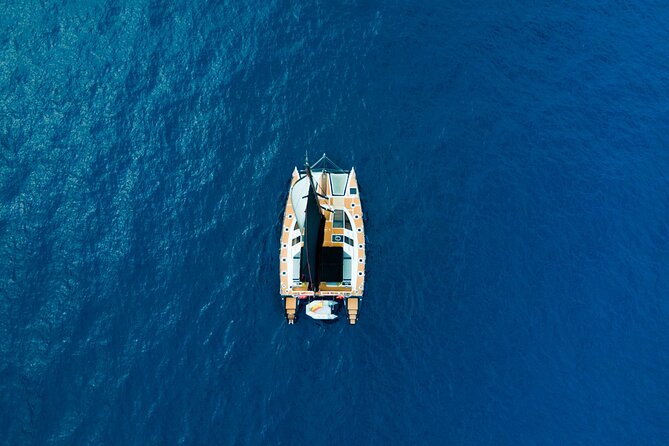 Tenerife Whales and Dolphins Watching Experience in Catamaran - Is $68.98 good value?