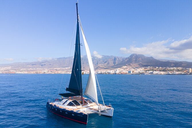 Tenerife Whales and Dolphins Watching Experience in Catamaran - Who should book this experience?