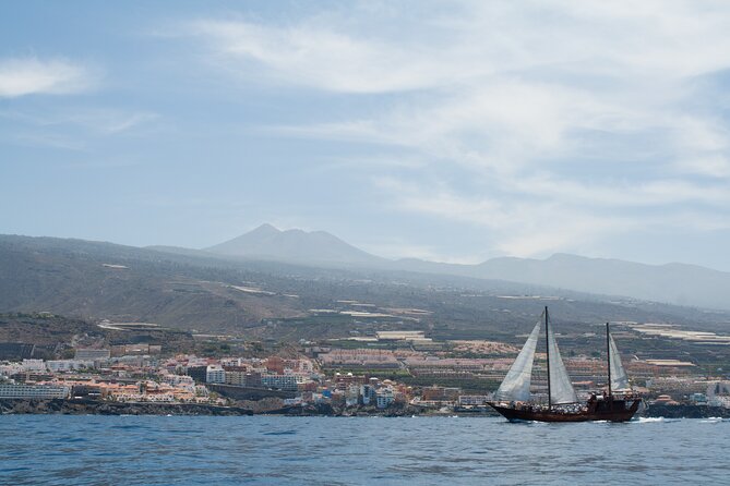 Tenerife : Whales and Dolphins with Food and Bath in Los Gigantes - Lunch With the Cliffs Nearby