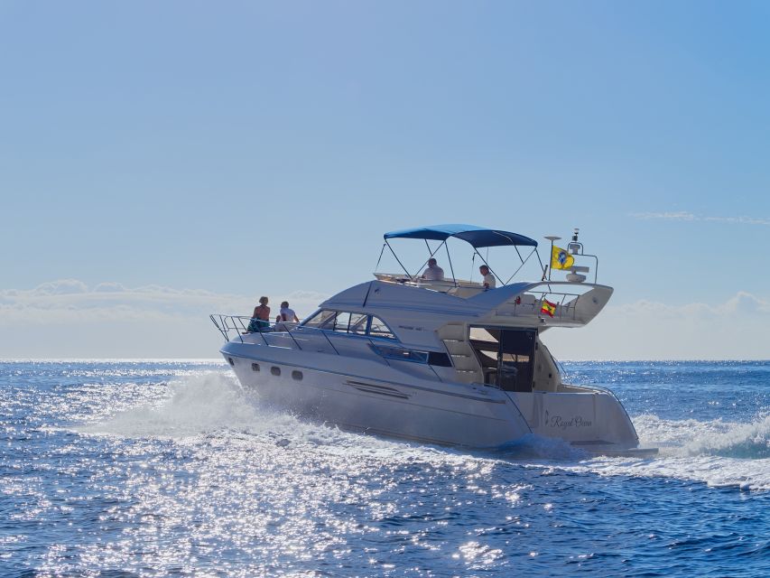 Tenerife: Whales and Snorkeling Tour on a Luxury Yacht - Who will enjoy this yacht trip most?