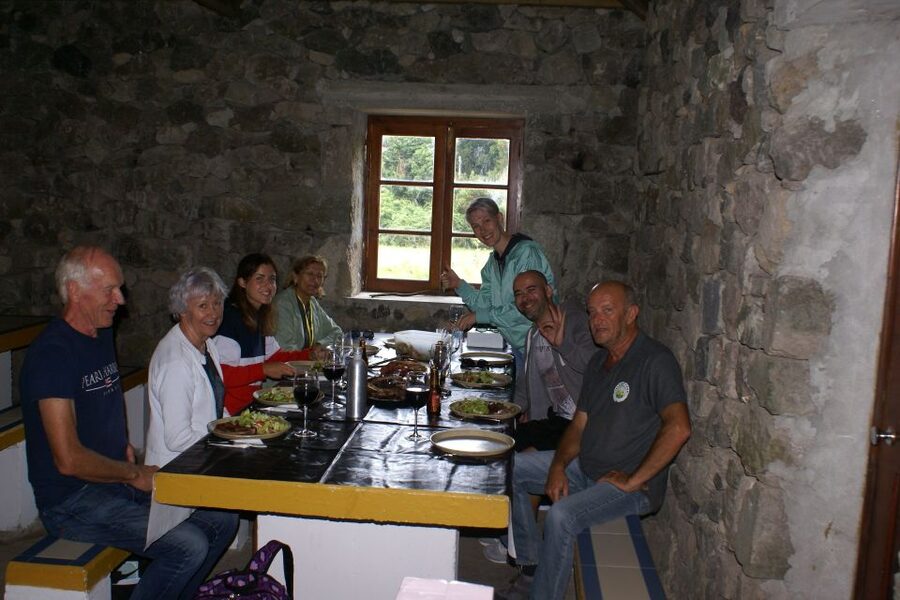 Terceira Island Whale Watching and Jeep Tour - Key points at a glance