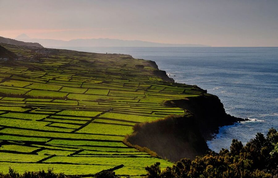 Terceira Island Whale Watching and Jeep Tour - The countryside views are the real attraction