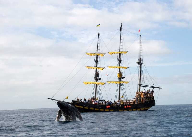 Thar She Blows! Whale Watching Pirate Cruise - Booking details that affect your morning