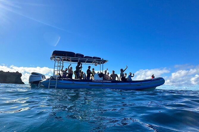The Best 10 am 1.5 Hour Whale Watching Tour - Who should book this experience