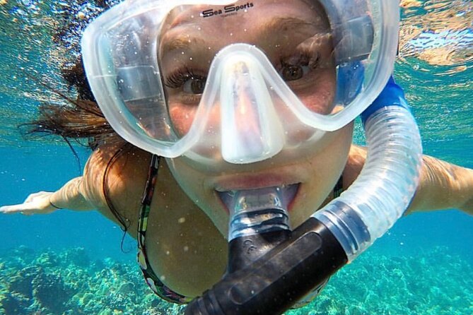 The Best 2.5 Hour Molokini Snorkel Tour & Whale Watch - One hour inside Molokini Crater