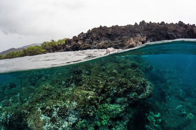 The Best 2.5 Hour Molokini Snorkel Tour & Whale Watch - What the $169.59 price gets you