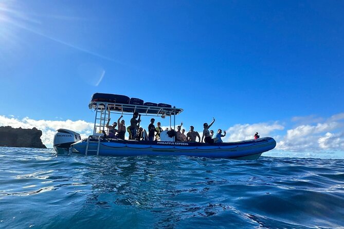The Best 2.5 Hour Molokini Snorkel Tour & Whale Watch - Timing, weather, and the cancellation risk
