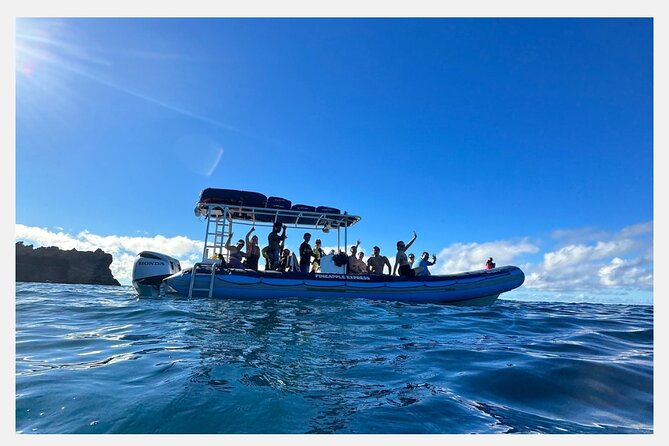 The Best 8 am 1.5 Hour Whale Watching Tour - The hydrophone is the special feature