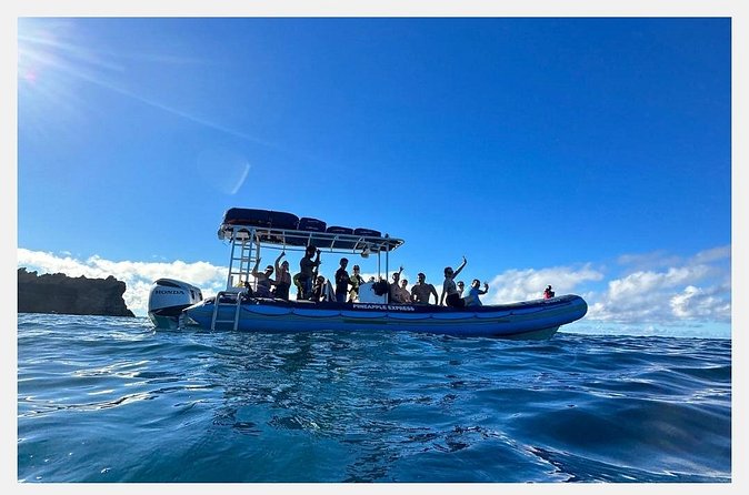 The Best 8 am 1.5 Hour Whale Watching Tour - Small boat advantages and tradeoffs