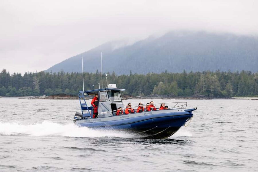 Tofino: Whale Watching Tour with Nature Guide - Key points before you book