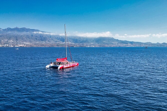 Tour with Whale and Dolphin Watching plus food included - The food and drinks included during the cruise