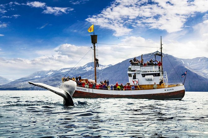 Traditional Oak Ship Whale Watching Tour From Husavik - Setting out from Húsavík’s harbor