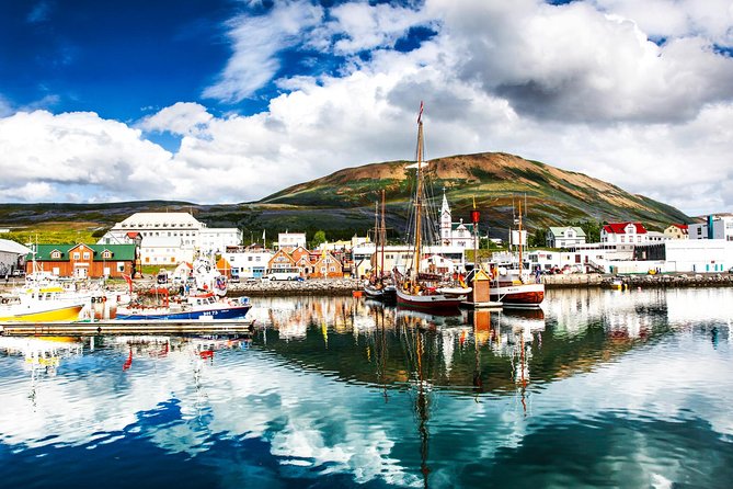 Traditional Oak Ship Whale Watching Tour From Husavik - Warm clothing, hot chocolate, and practical comfort