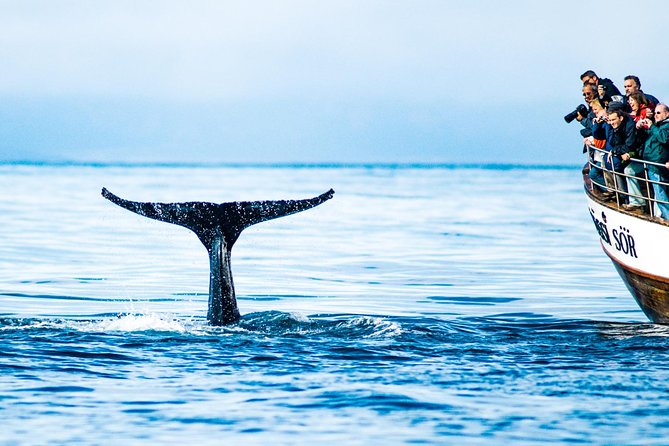 Traditional Oak Ship Whale Watching Tour From Husavik - The boat, group size, and crowding