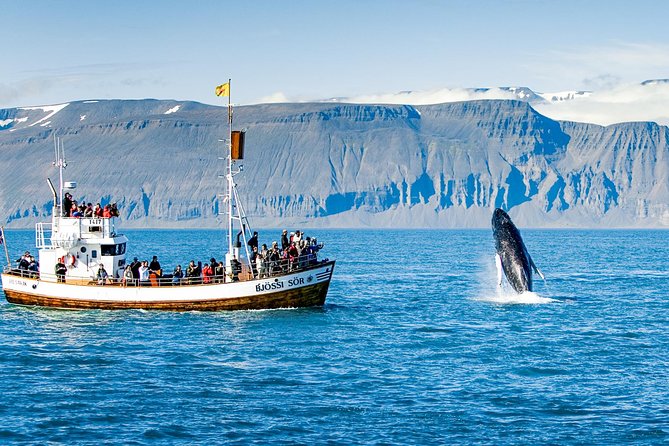 Traditional Oak Ship Whale Watching Tour From Husavik - Who will enjoy this tour most