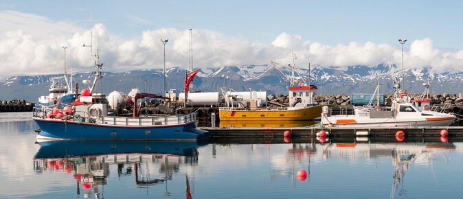 Traditional Whale Watching from Húsavík by Local Family Company - Key points before you book