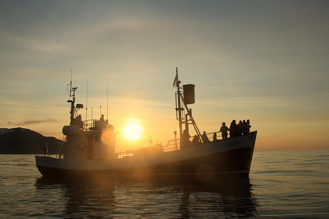 Traditional Whale Watching from Húsavík by Local Family Company - What you may see in Skjálfandi Bay