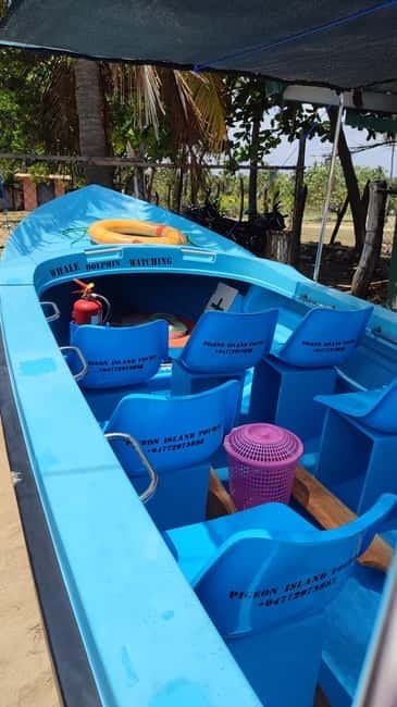Trincomalee: Dolphin & Whale Watching Boat Tour - Key points before you book