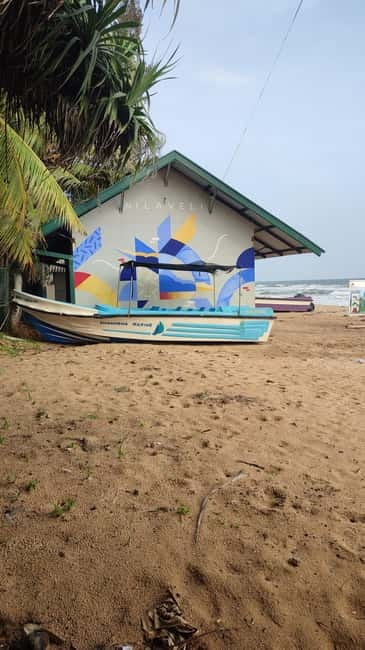 Trincomalee: Dolphin & Whale Watching Boat Tour - Finding spinner dolphins near the boat