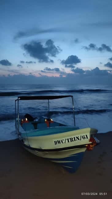 Trincomalee: Dolphin & Whale Watching Boat Tour - Searching for blue whales and sperm whales