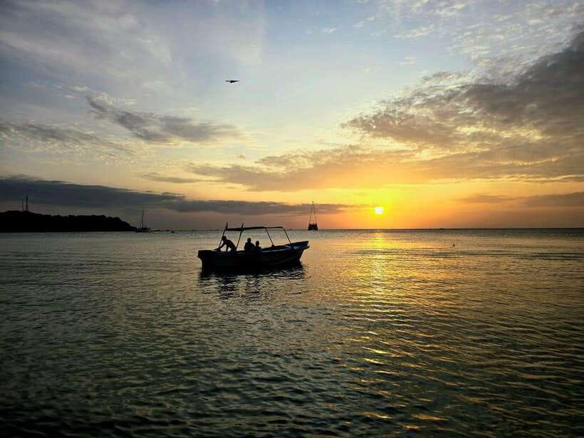 Trincomalee : Whale & dolphin watching +pigeon island tour - What the $185 price really covers