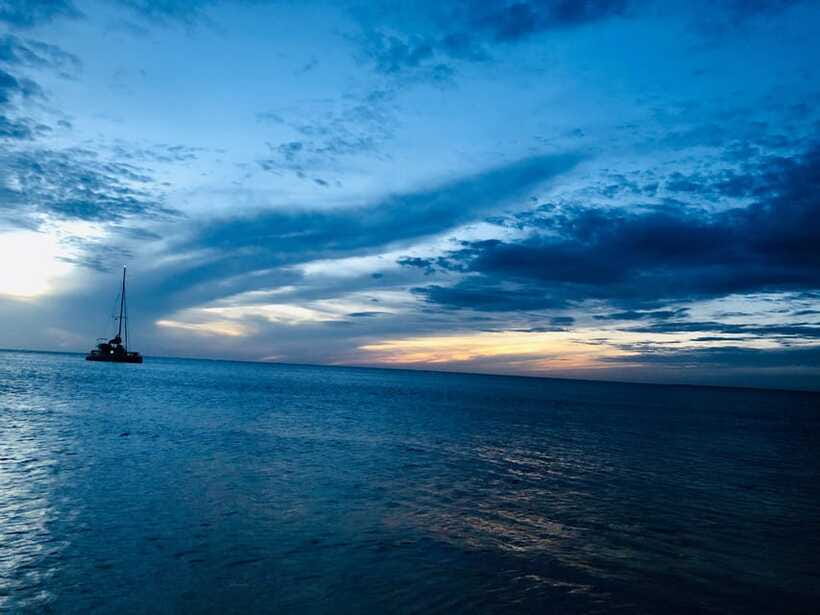 Trincomalee : Whale & dolphin watching +pigeon island tour - How the six hours are likely to feel