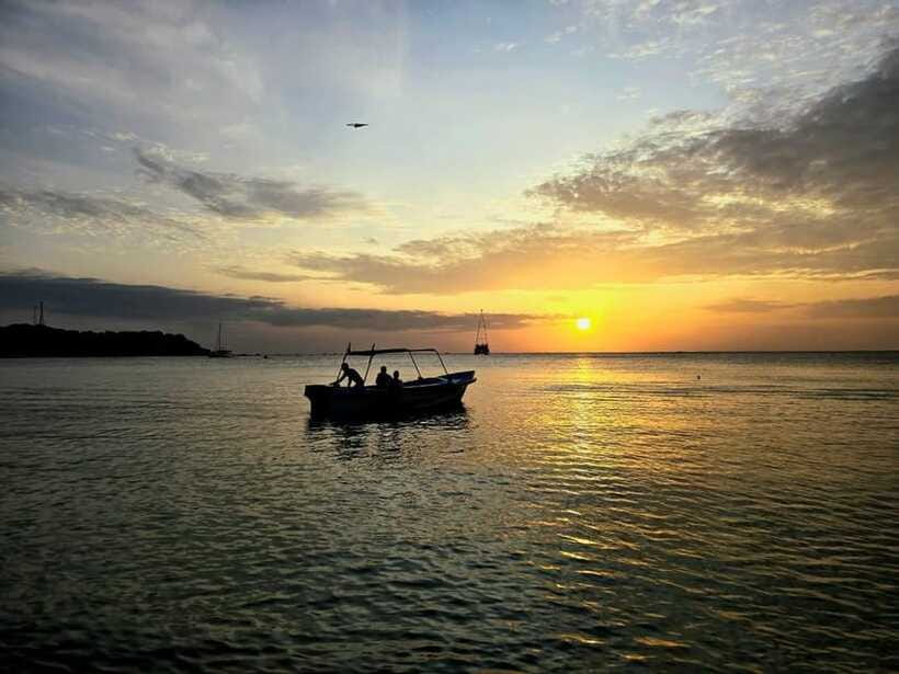 Trincomalee : Whale & dolphin watching +pigeon island tour - Who will enjoy this most