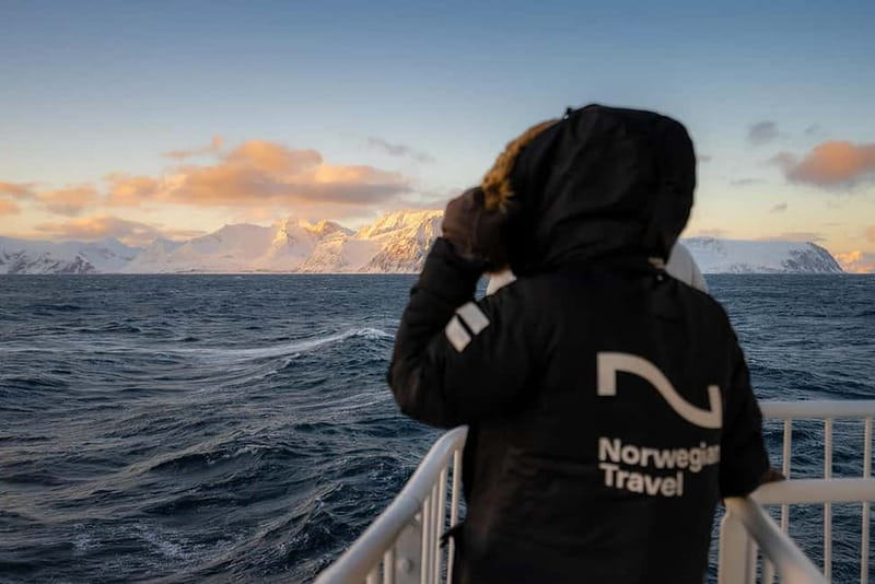Tromsø: 24hr Northern Lights & Whale Watching Cruise - What $1,179 Buys You