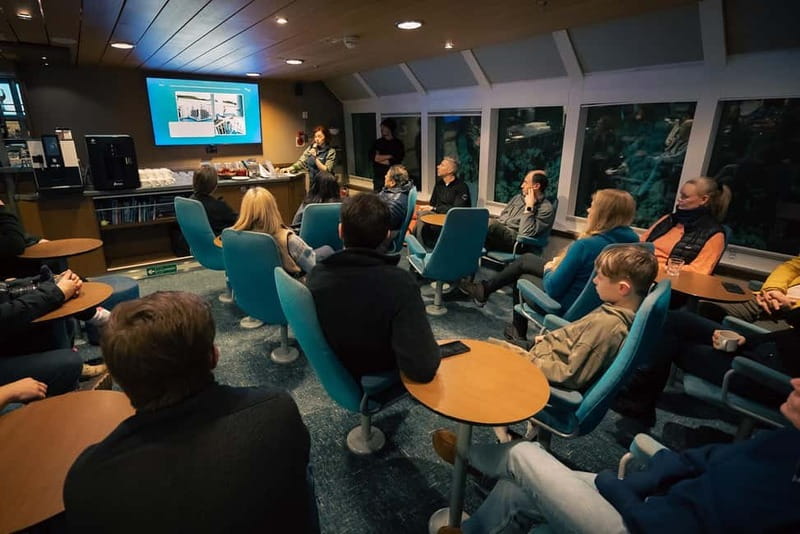 Tromsø: 24hr Northern Lights & Whale Watching Cruise - Comfort, Group Size, and the Feel of the Ship