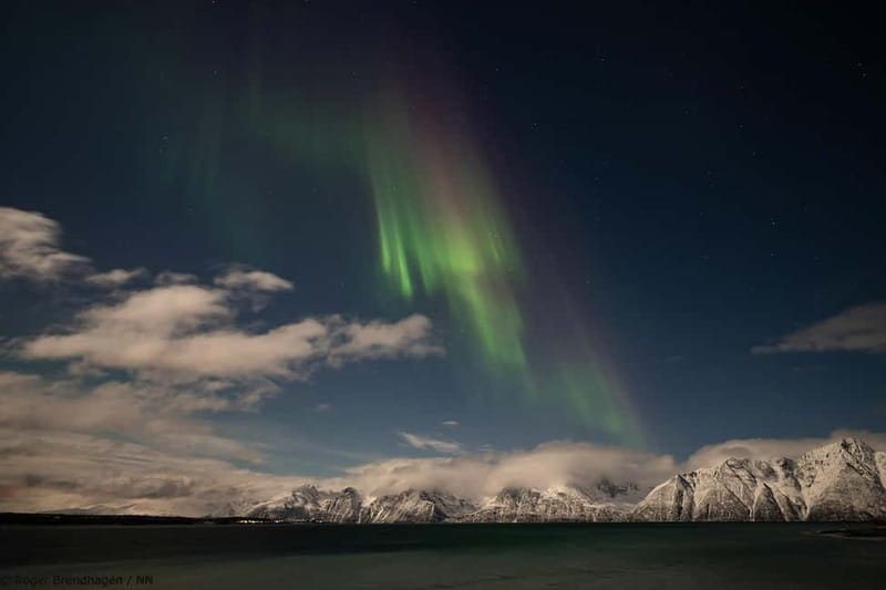 Tromsø: 24hr Northern Lights & Whale Watching Cruise - The 22:00 Aurora Talk