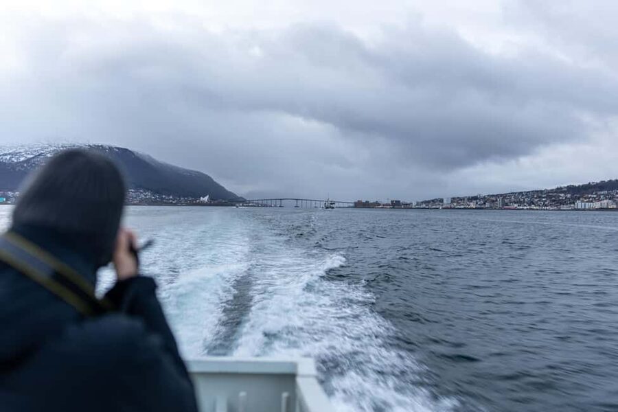 Tromsø: Responsible Whale Watching Cruise Aboard MS Alba - Is $215 a fair price?