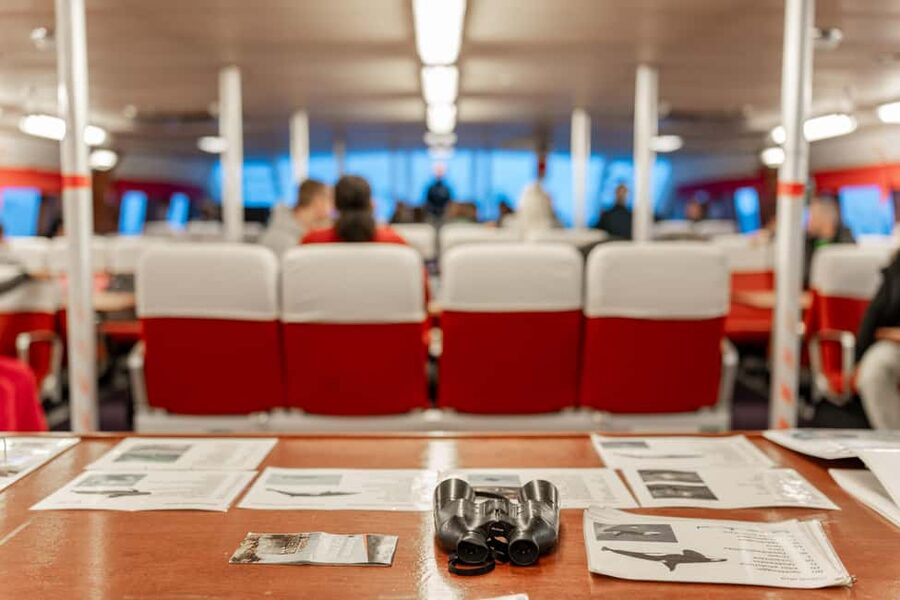 Tromsø: Responsible Whale Watching Cruise Aboard MS Alba - Practical ways to improve your day onboard