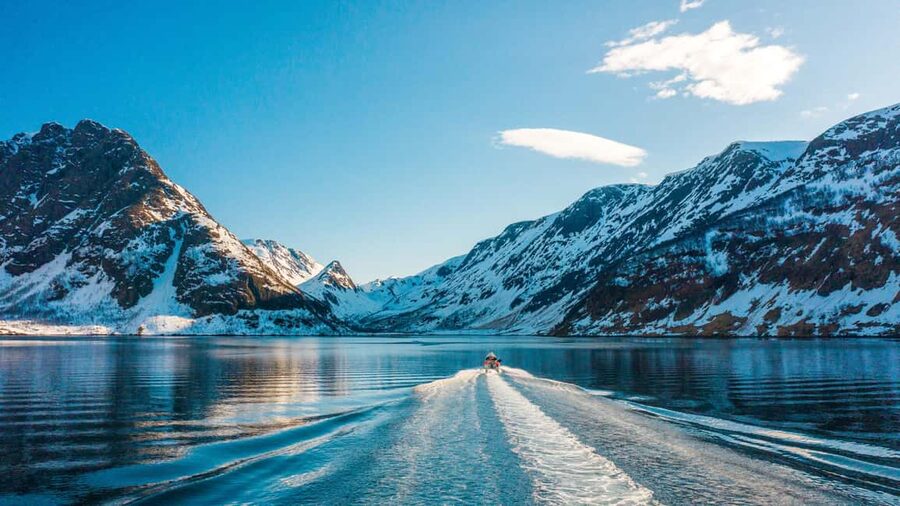 Tromsø Whale Safari with MS Keiser Wilhelm - Key points to know before booking