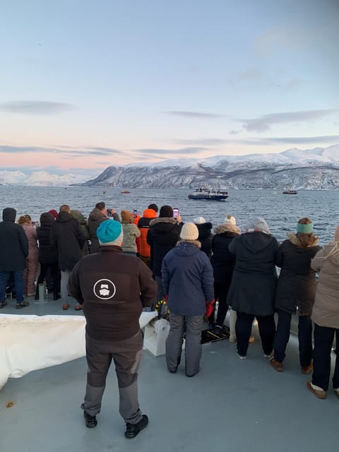 Tromsø Whale Safari with MS Keiser Wilhelm - Is $194 a fair price?