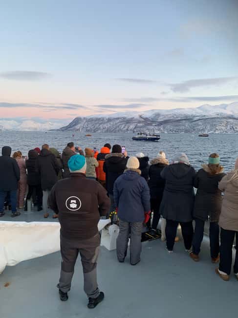 Tromsø Whale Safari with MS Keiser Wilhelm - The first hours: fjords, cold air, and open water