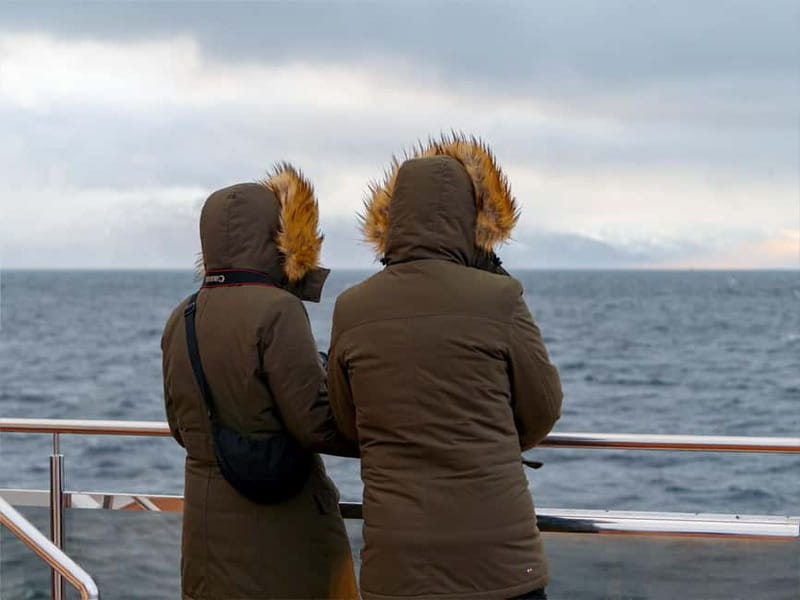 Tromsø: Whale Watching on hybrid boat with scenic bustrip - Why this Tromsø whale trip takes the long way to Skjervøy