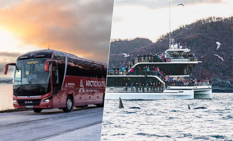 Tromsø: Whale Watching on hybrid boat with scenic bustrip - The boat leg through Arctic waters
