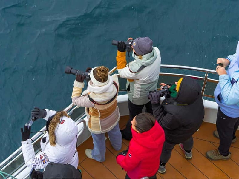 Tromsø: Whale Watching on hybrid boat with scenic bustrip - Meeting at Prostneset and getting assigned your route