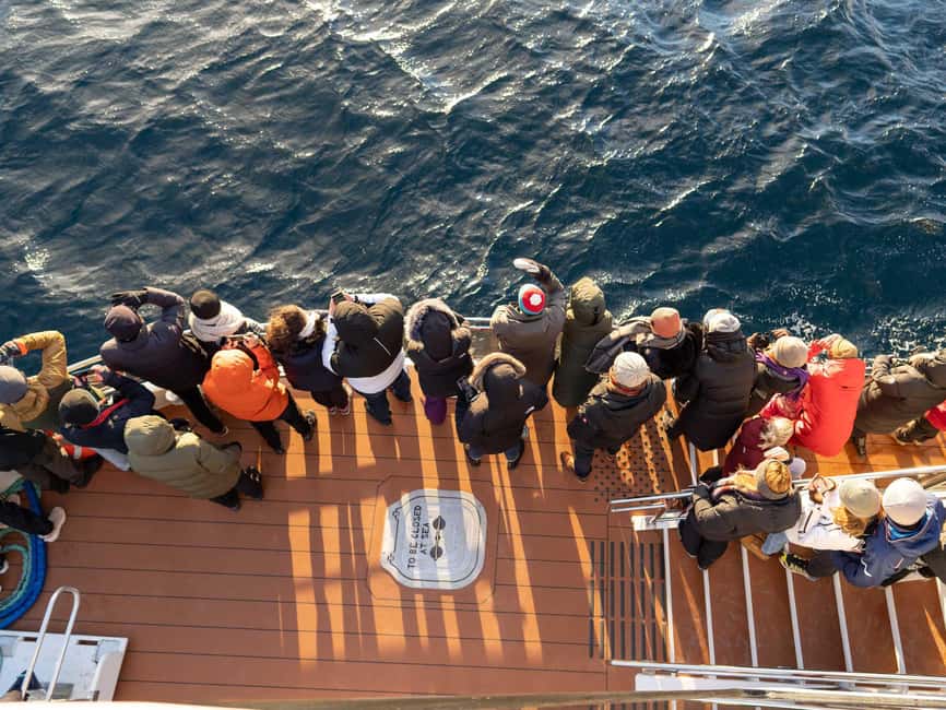 Tromsø: Whale Watching Tour by Hybrid-Electric Boat - What the $195 price really buys