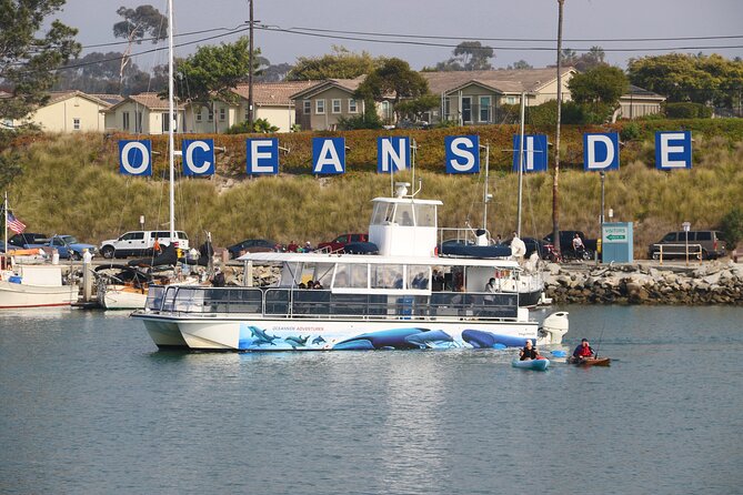 Two-Hour Luxury Whale Watching Tour from Oceanside - Dolphins, sea lions, and the real wildlife payoff