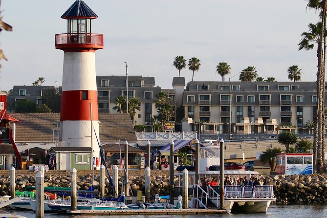 Two-Hour Luxury Whale Watching Tour from Oceanside - What the 50-foot catamaran feels like