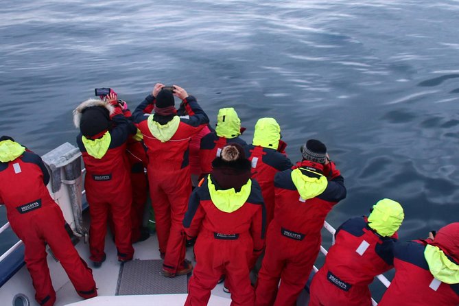 Two-In-One: Whale & Puffin Watching Tours from Reykjavik - Guides who make the water easier to read