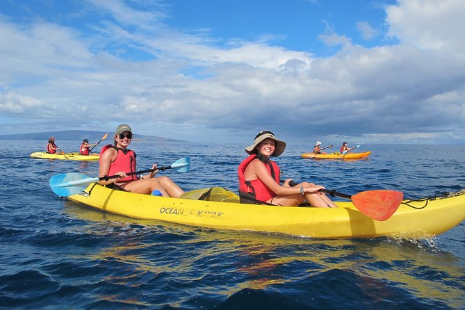 Ultimate Maui Whale Watch Snorkel Tour - Key points to know before booking