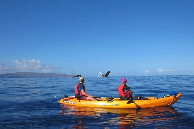Ultimate Maui Whale Watch Snorkel Tour - What the included extras are worth