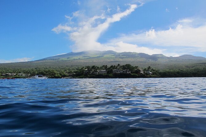 Ultimate Maui Whale Watch Snorkel Tour - Paddling along Maui’s south shore