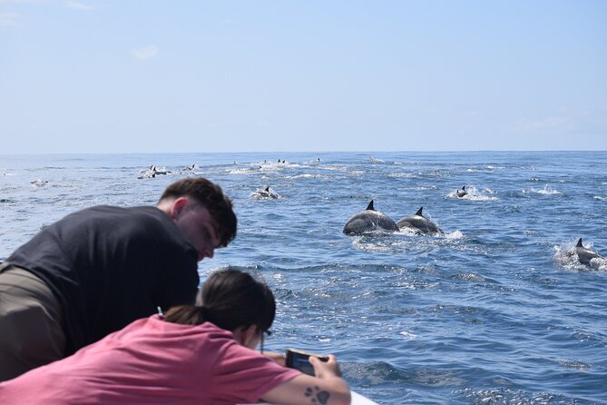Up Close Dolphin & Whale Watching - Leaving from Oceanside Harbor