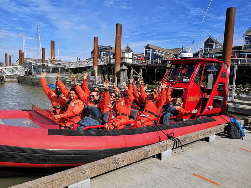 Vancouver, BC: Whale Watching Tour Small Zodiac with Guide - The value of the $160 price